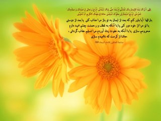 810 Hadis 637_3.jpg